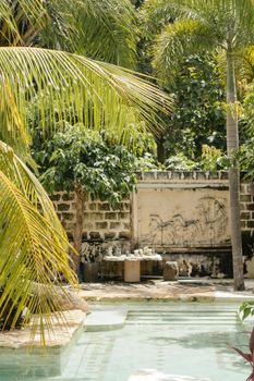 A serene tropical garden with palm trees and a shallow pool under summer sunlight.