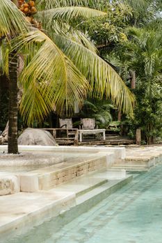 Serene swimming pool surrounded by lush tropical foliage and palm trees, offering a tranquil escape.