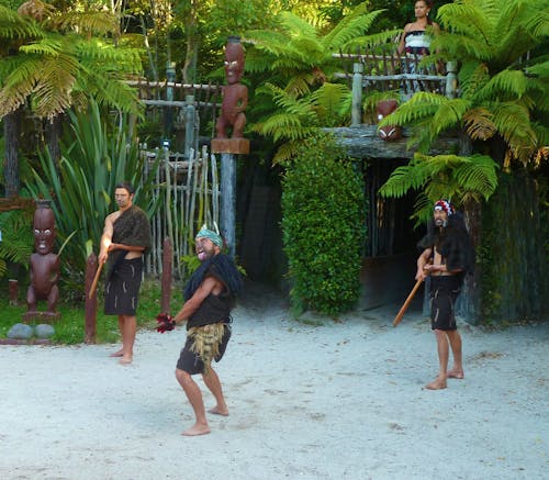 Free stock photo of new zealand, rotorua, tamaki māori village