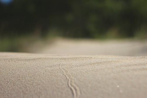 Бесплатное стоковое фото с берег, береговая линия, лето