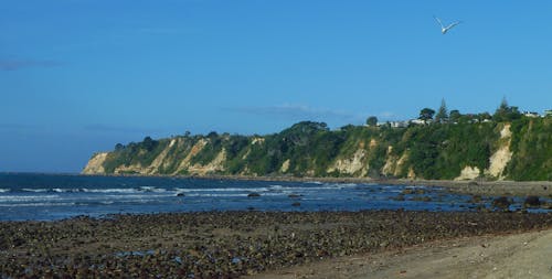 Free stock photo of bay of plenty, maketu beach, new zealand Stock Photo