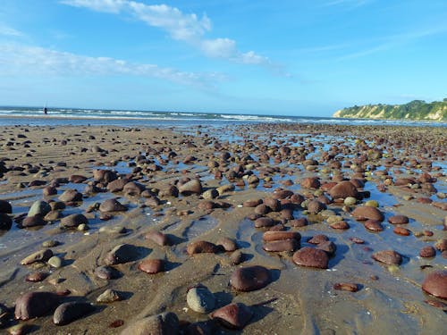 Free stock photo of bay of plenty, maketu beach, new zealand Stock Photo