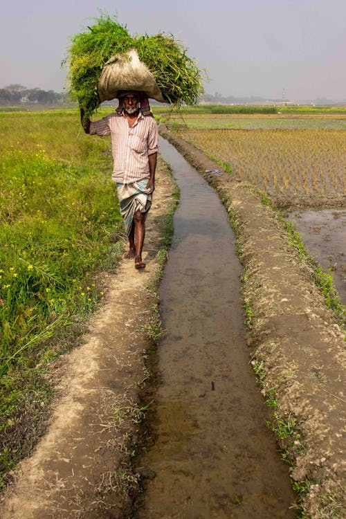 Man in White and Red Pin Stripe Long Sleeve Shirt Walking on Brown Soil