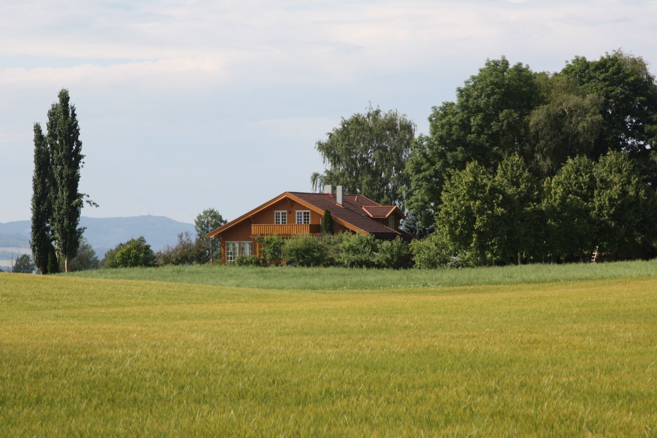 a charming farmhouse surrounded by lush trees and grasslands under a c