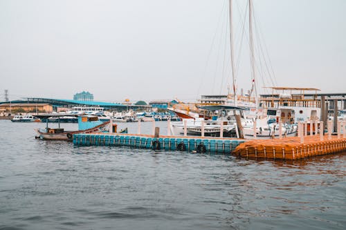 Boats Docked at the Harbor