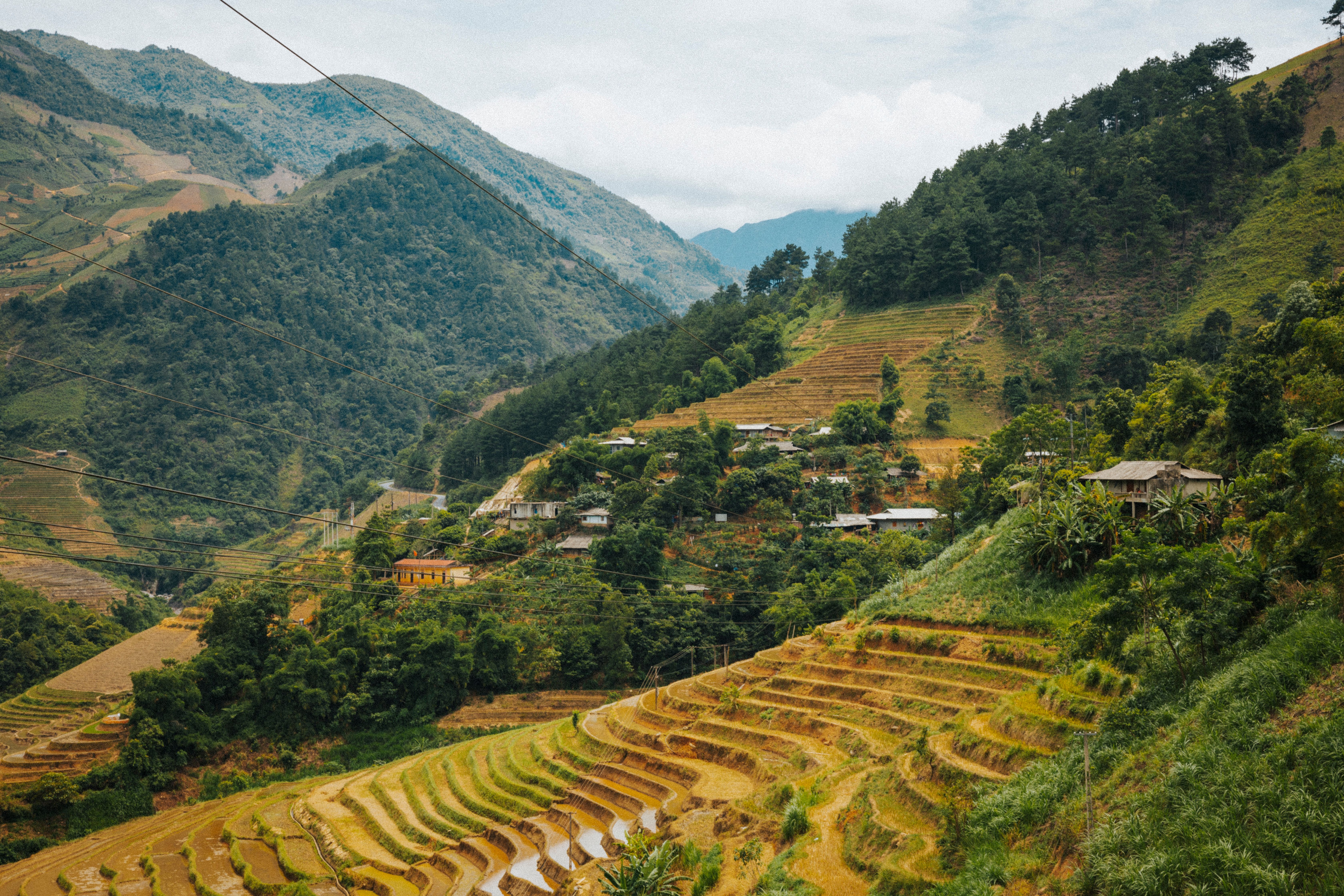 Photo of Rice Terraces · Free Stock Photo
