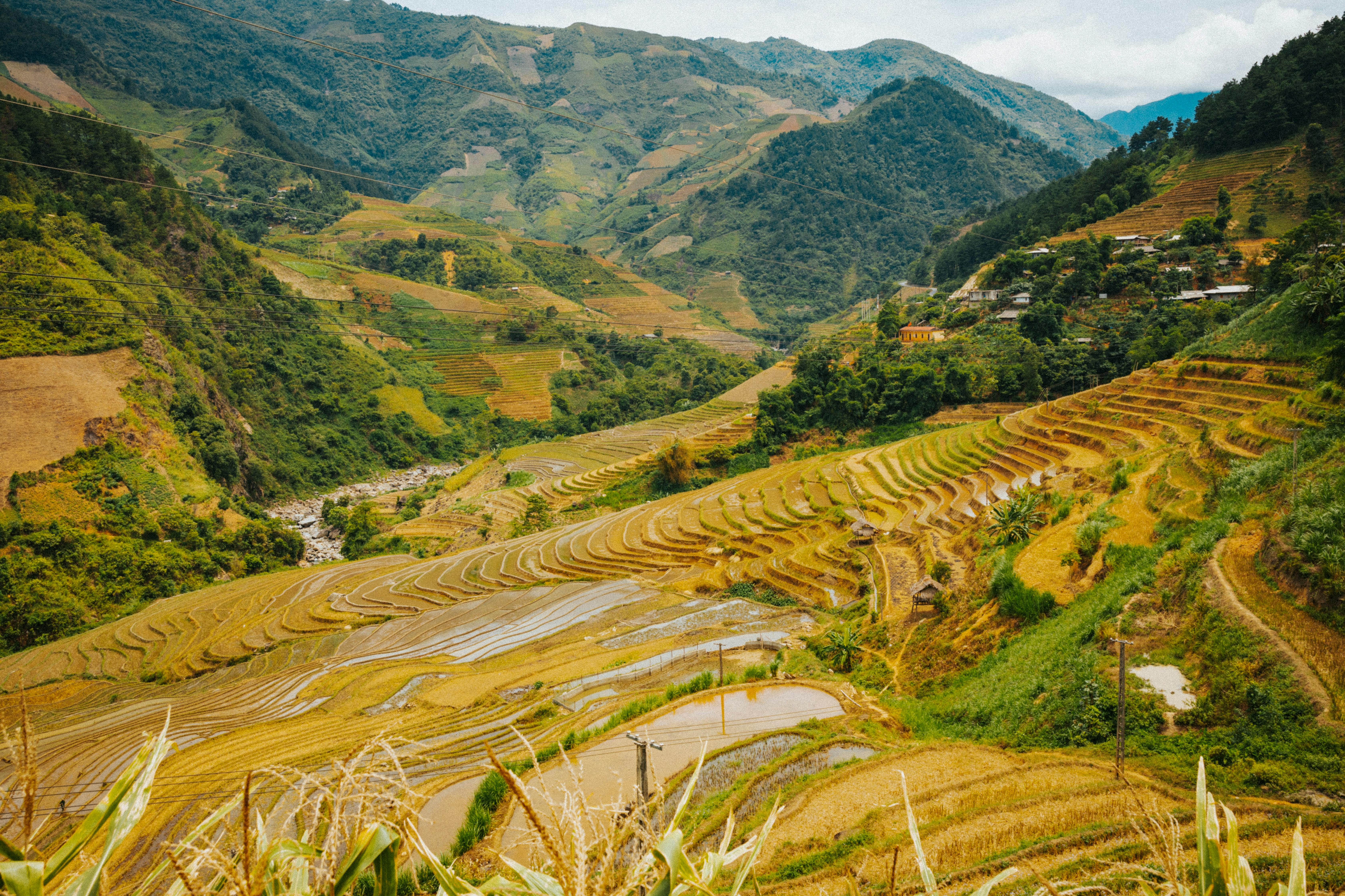 Miễn phí Ảnh lưu trữ miễn phí về bản chất hoang sơ, cánh đồng lúa, cảnh nông thôn Ảnh lưu trữ