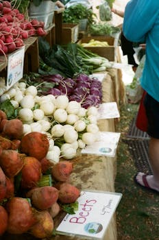 Vibrant display of fresh root vegetables at an outdoor farmers market in Boston.