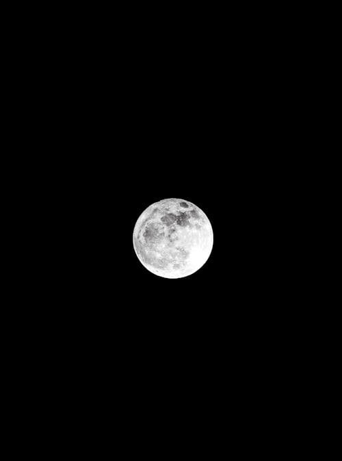 Free Black and White Photo of the Moon Stock Photo