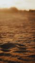Brown Sand in Close Up Photography