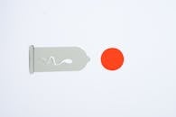 Illustration of Fertilization