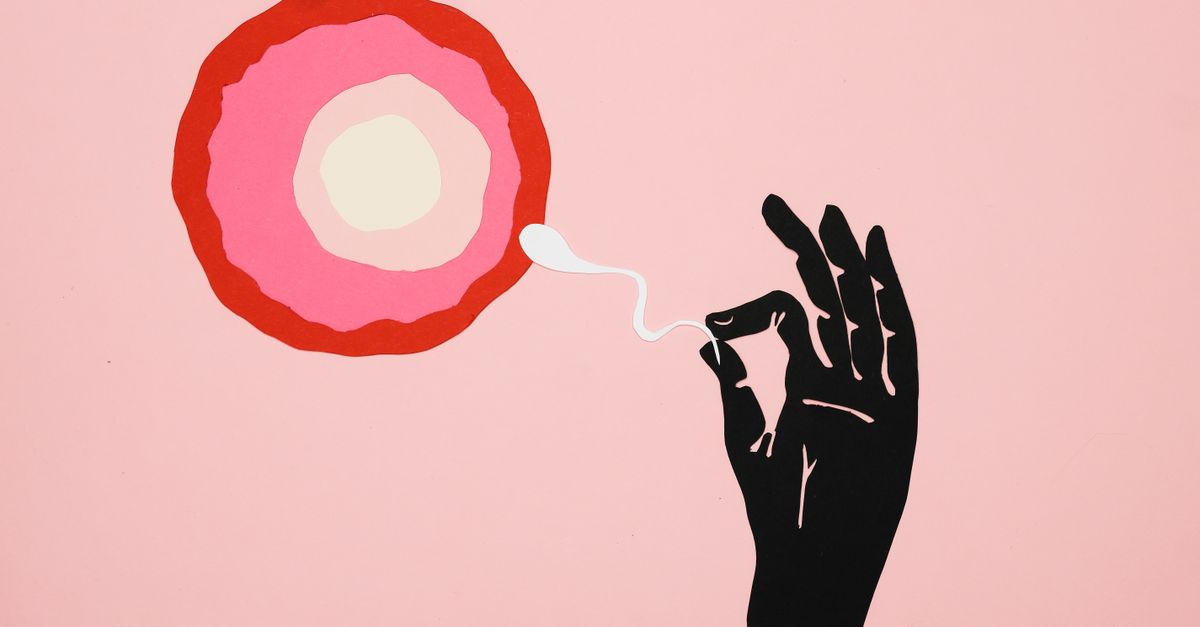 Researchers Pursue Treatments for Infertility Linked to Age