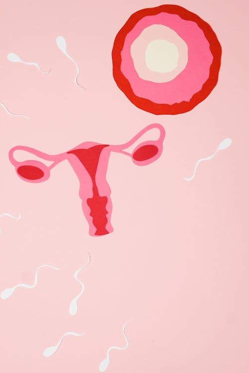 бесплатная Бесплатное стоковое фото с беременность, бесплодие, вертикальный выстрел Стоковое фото