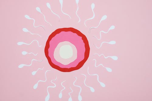 infertility sperm swimming away from egg
