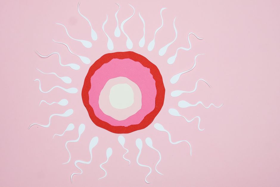 Calif S Fertility Flap And The Future Of Reproductive Tech Calif S Fertility Flap And The Future Of Reproductive Tech