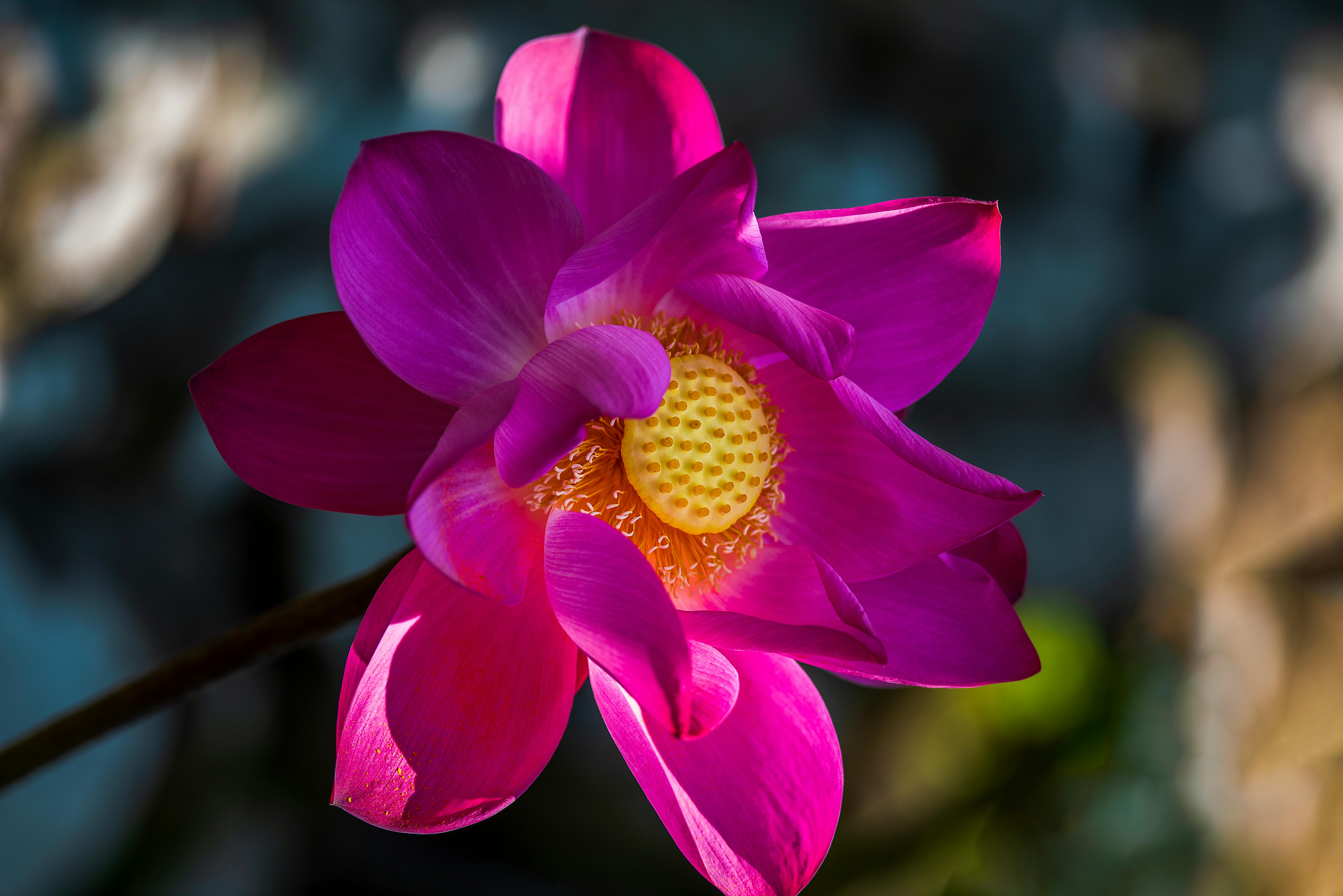 政治：邱垂正指中國大陸為現狀最大威脅 賴清德致力維護台海和平