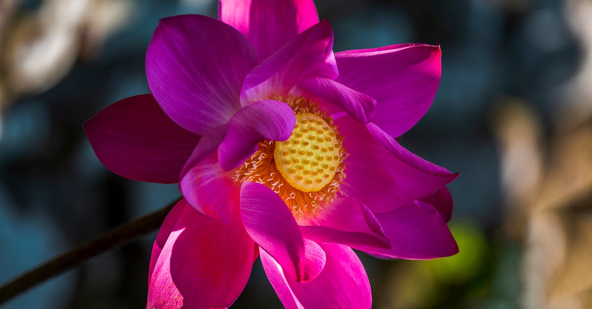 政治:邱垂正指中國大陸為現狀最大威脅 賴清德致力維護台海和平