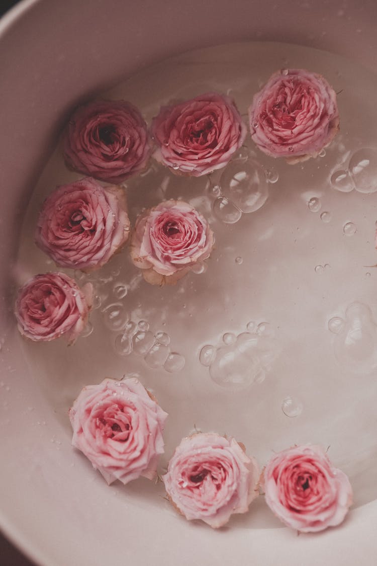 Pink Roses On A Bubbly Water In A Container