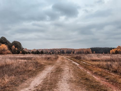 Free A dirt road winds through an autumnal countryside under a cloudy sky, offering a tranquil view. Stock Photo