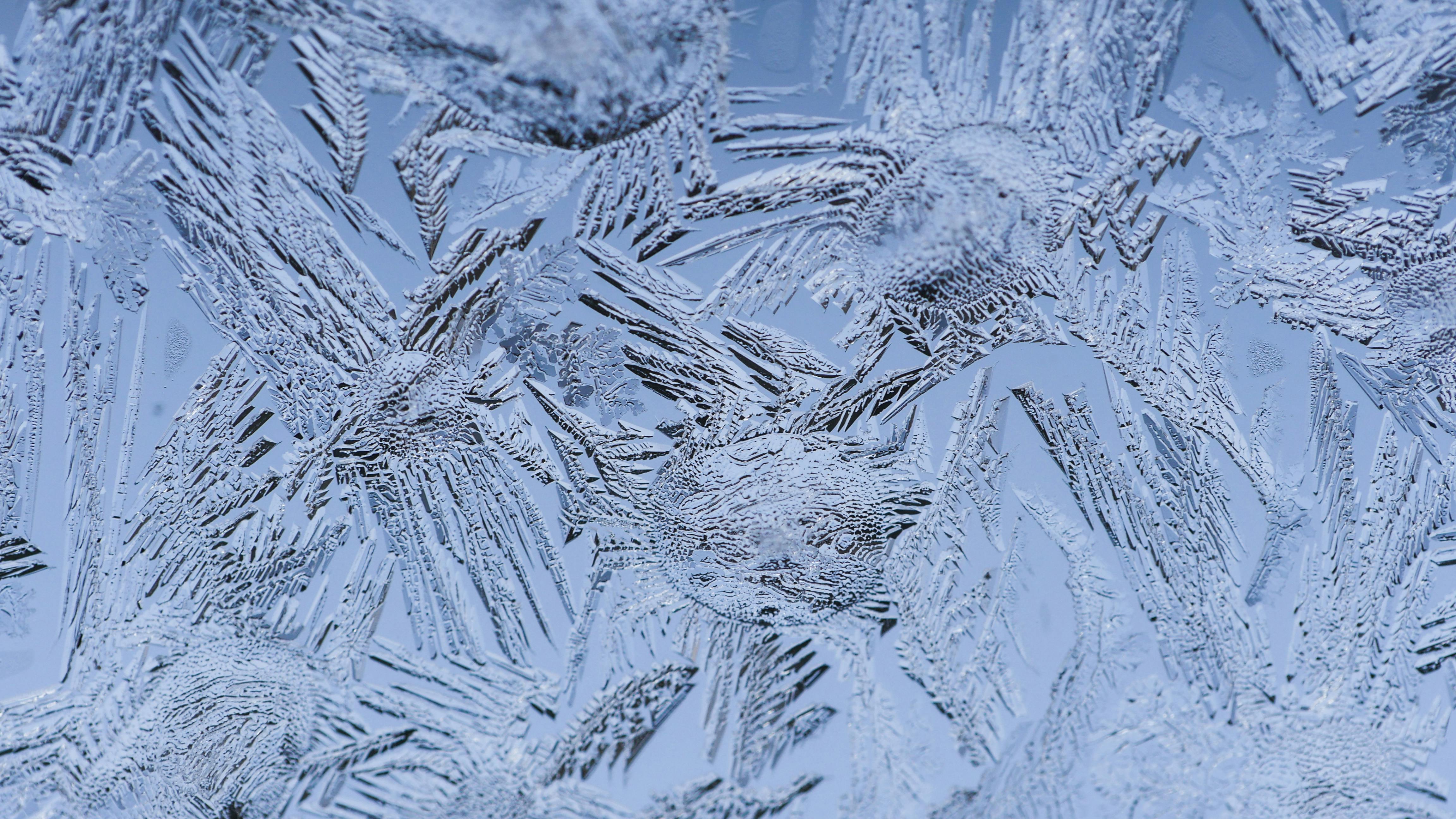 Free stock photo of cold, frost, ice