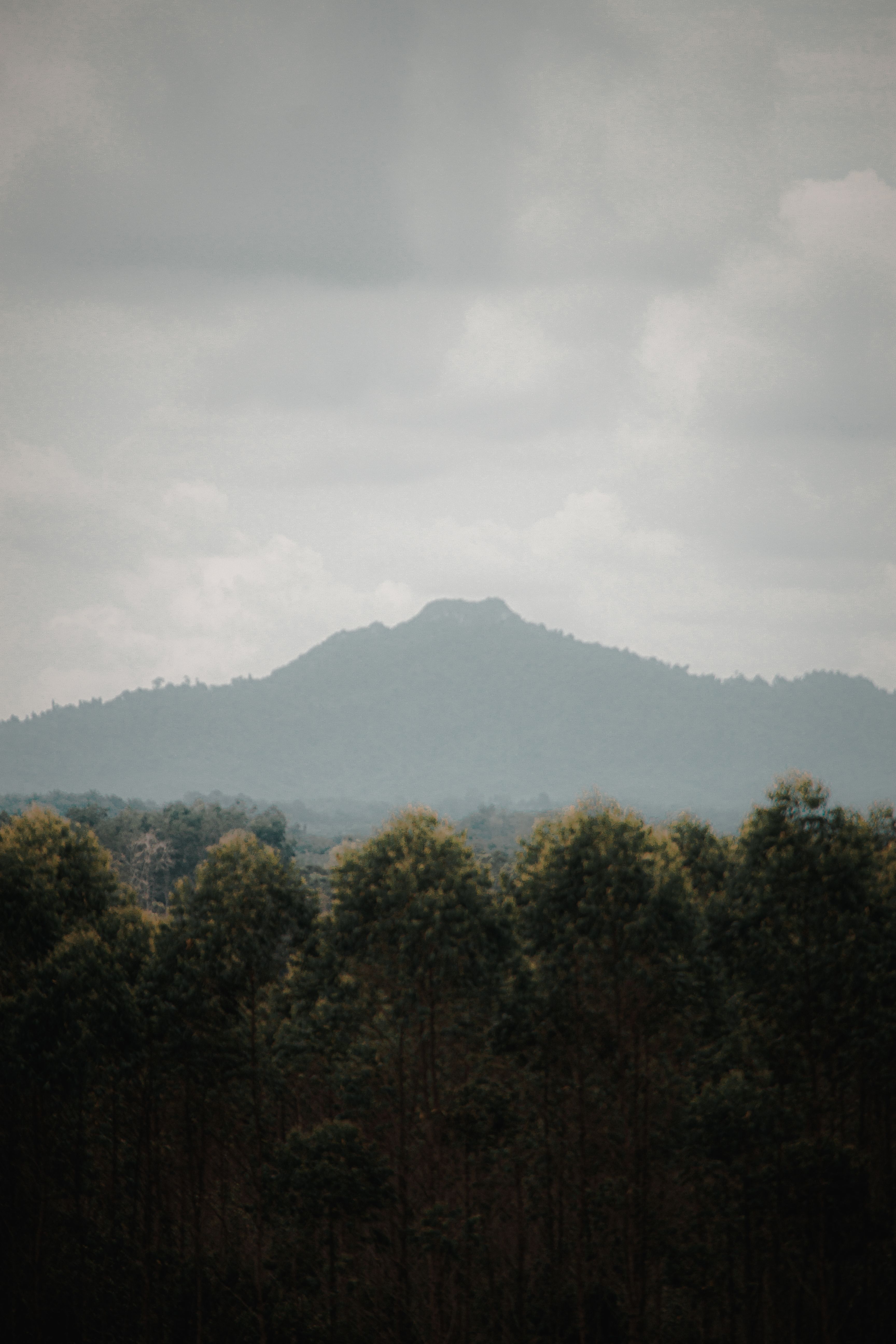 A Green Trees and Mountain Under the White Clouds · Free Stock Photo