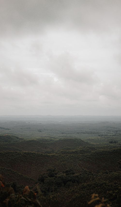 Free A tranquil view of a vast green valley under a cloudy sky, showcasing nature's peacefulness. Stock Photo