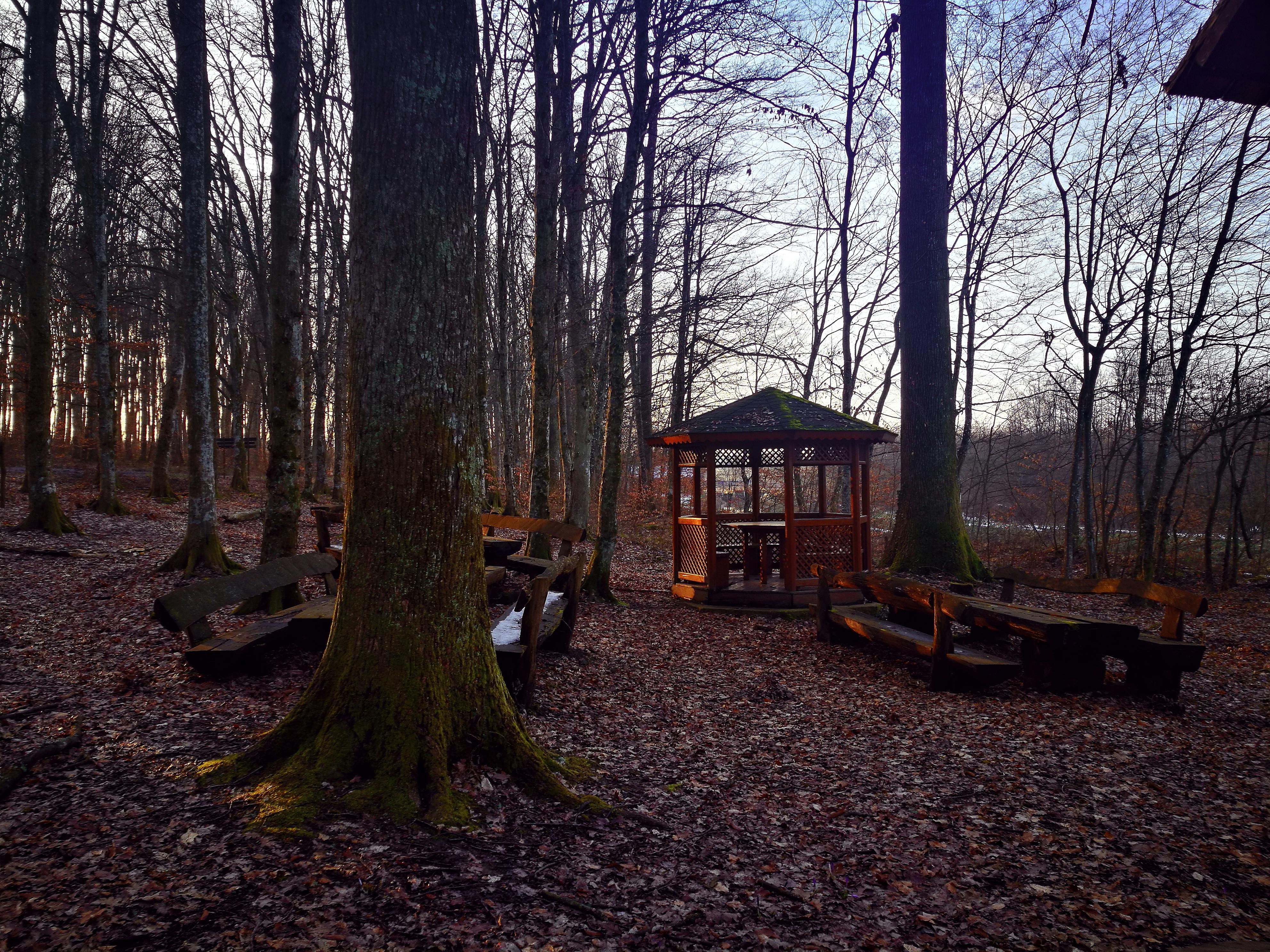 Free Stock Photo From Ana Pexels