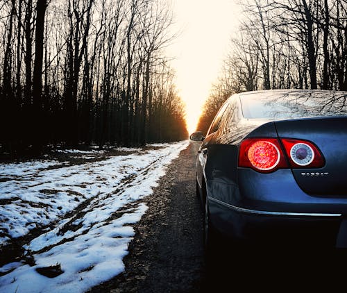 Free stock photo of car, nature, passat