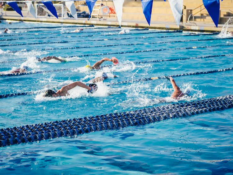 People Swimming In An Olympic Swimming Pool