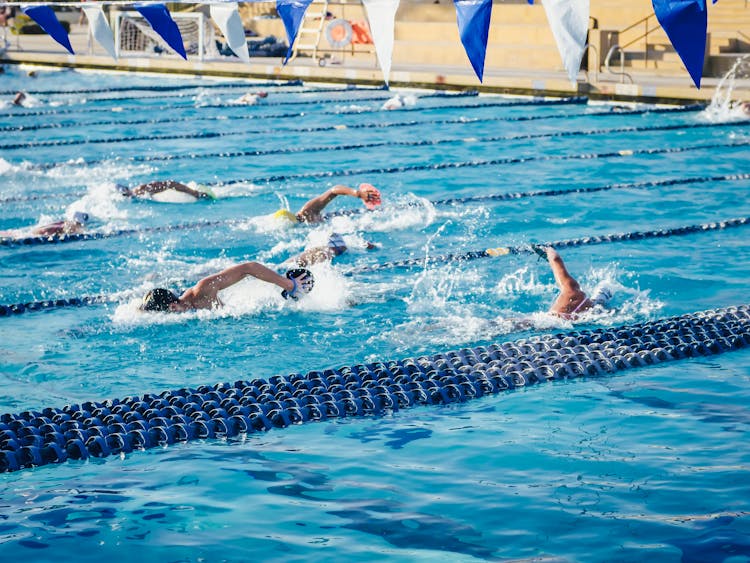 People Swimming In An Olympic Swimming Pool