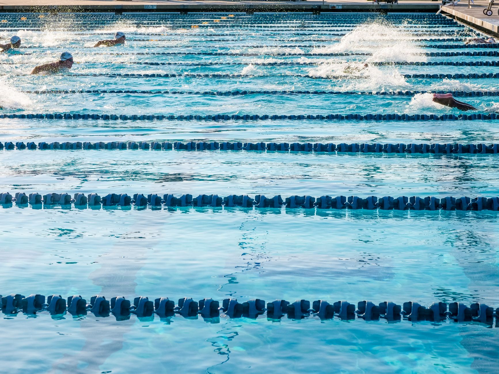 Adult Water Polo