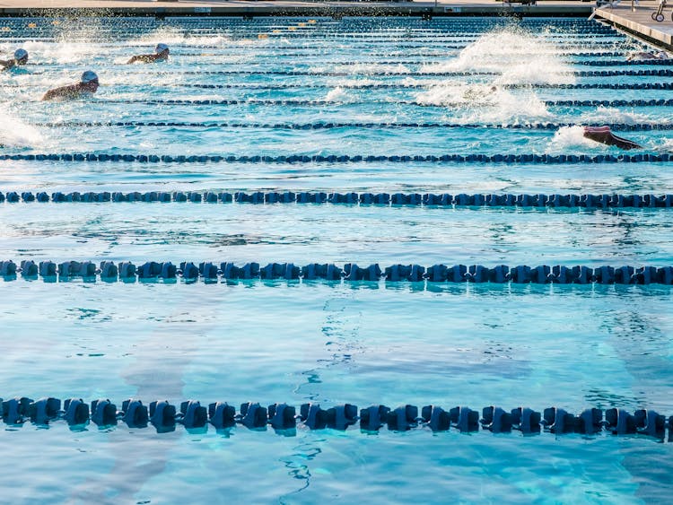 People Swimming In An Olympic Swimming Pool