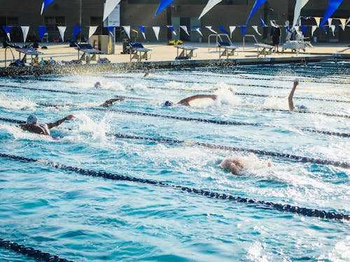 People in Swimming Pool