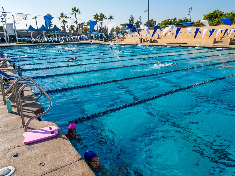 People in Swimming Pool · Free Stock Photo