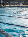 People Swimming in the Pool