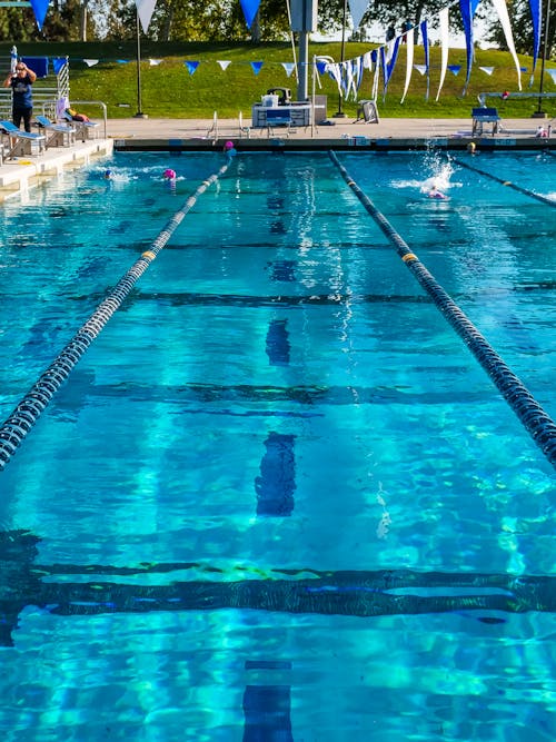 Kostenloses Stock Foto zu athleten, baden, blaues wasser