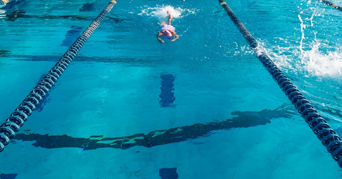 Des nageurs compétitifs en action lors d'une course de natation en eau libre.