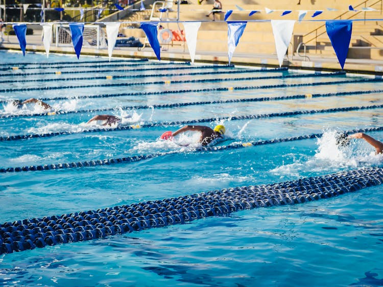 People Swimming In An Olympic Swimming Pool