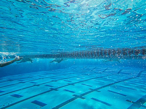 Free Underwater view of swimmers racing in a crystal clear swimming pool. Stock Photo