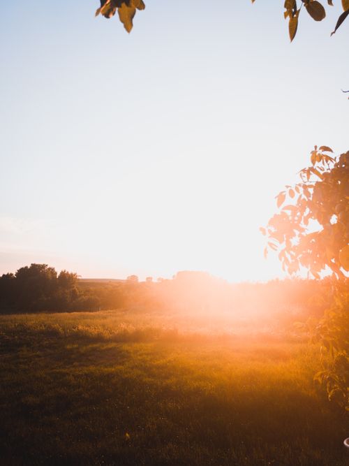 Free Warm sunset casting orange hues over a peaceful grassland, evoking tranquility and nature's beauty. Stock Photo