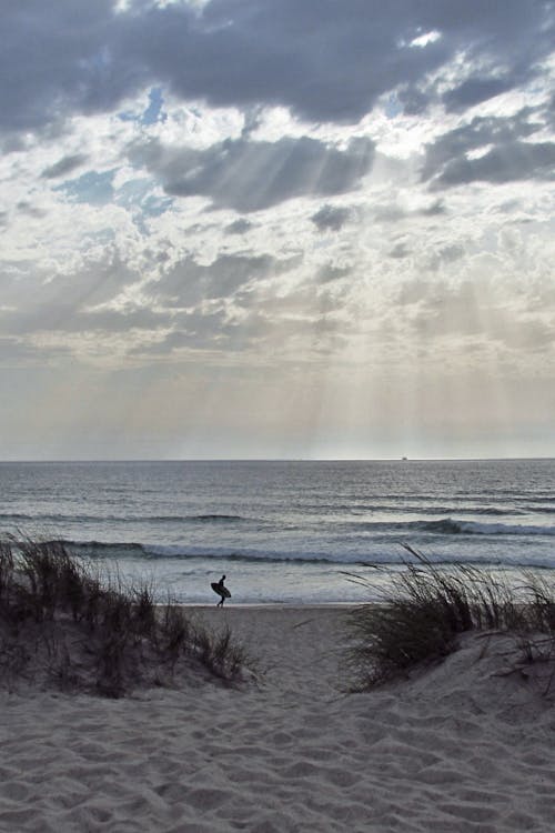 Person Walking on Beach Shore