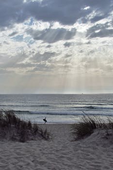 A silhouette of a surfer walking along a tranquil beach at sunrise, with sun rays piercing through the clouds.