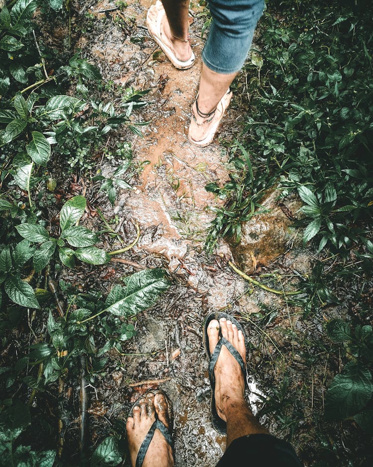 People Walking On A Muddy Footpath