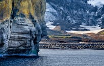 广阔的南极景观以岩石海岸和海边的大型企鹅栖息地为特色
