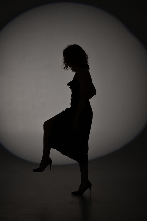 Silhouette of a Woman Wearing a Dress and High Heels  Free Stock Photo