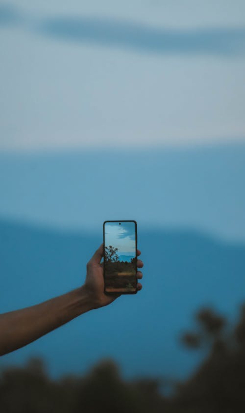 คลังภาพถ่ายฟรี ของ จับ, ภาพ, มือ