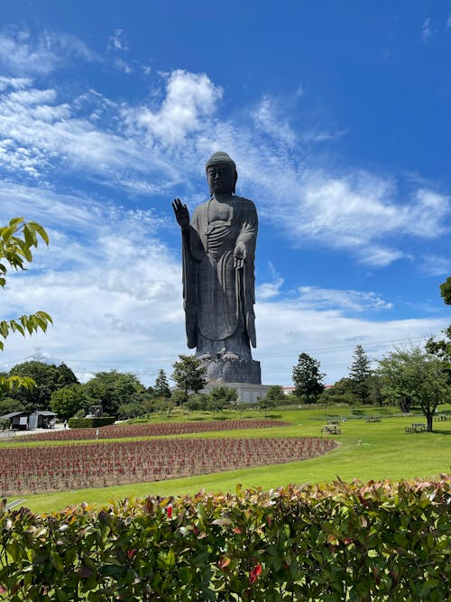 Free Man Statue on Green Grass Field Under Blue Sky Stock Photo