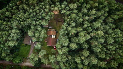 Free stock photo of aerial, cabin in the woods, copter