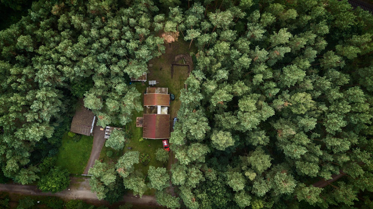 Základová fotografie zdarma na téma copter, dřevo, dron