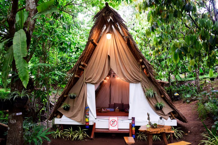 Boho Style Tent Surrounded By Plants